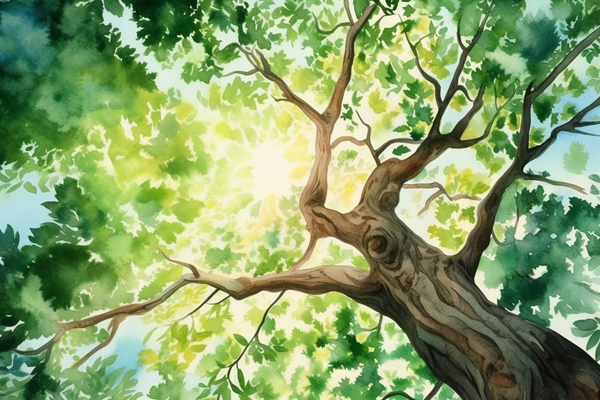 looking up at the sky through the branches of a huge oak tree. the sun is peeking through the leaves, watercolor illustration